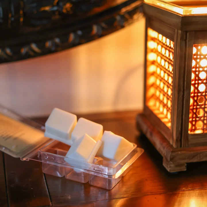 Lucy's Lemonade Wax Melt